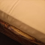 Photo n°3 de l'avis de Katrin.o fait le 22/12/2022 à 08:14 sur le  Hotelferienanlage Friedrichsbrunn à Thale