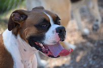 Hound Dog Hotel, LLC - Photo 4 - Car repair in Haysville, KS, Wichita