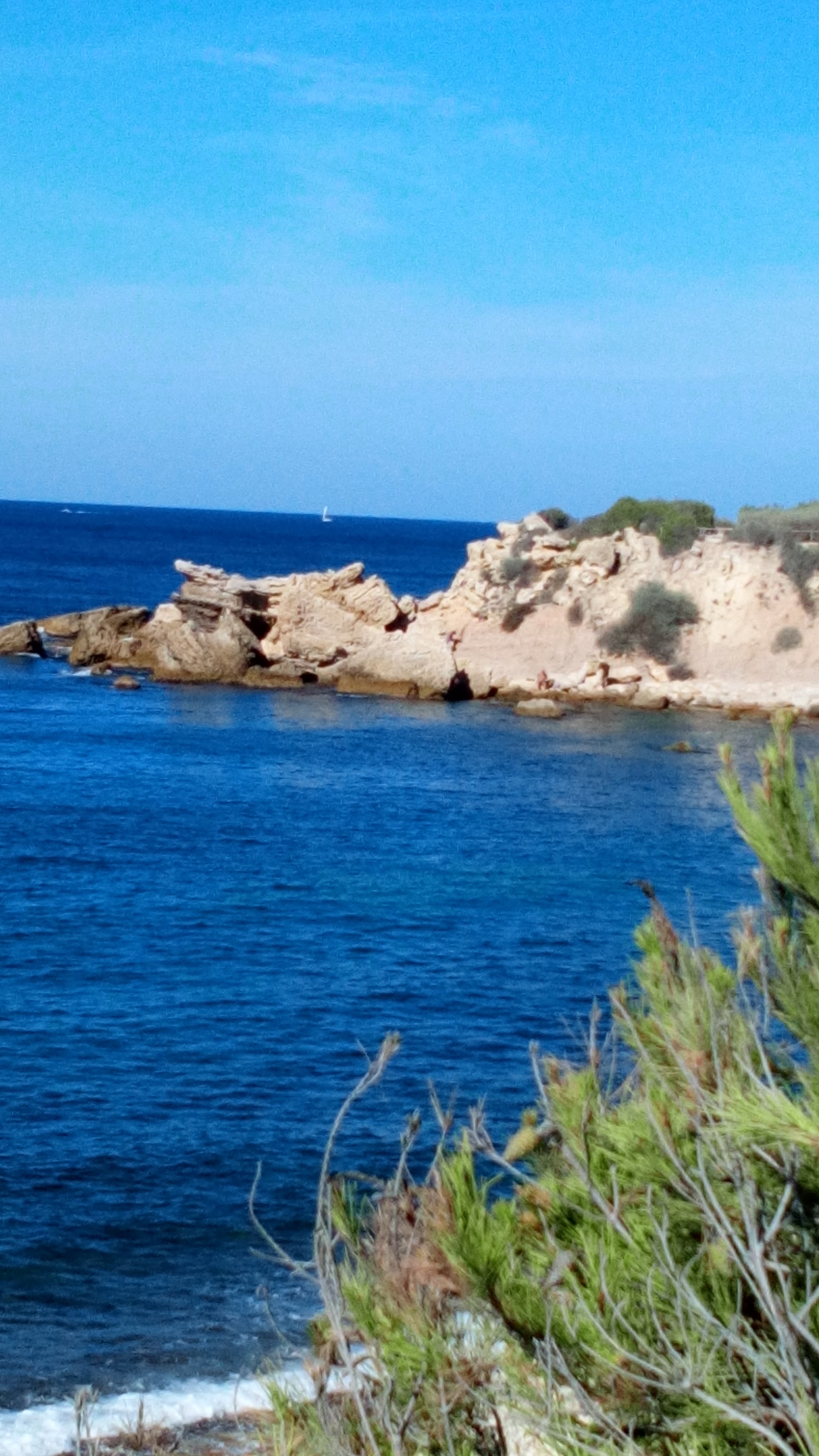 Photo n° 18 de l'avis de Laetitia.a fait le 17/08/2020 à 13:47