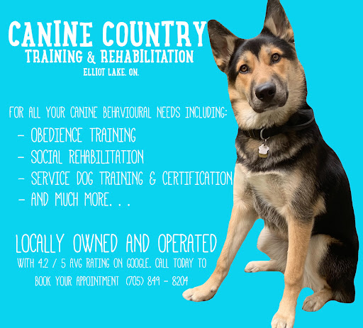 Canine Country Training & Rehabilitation