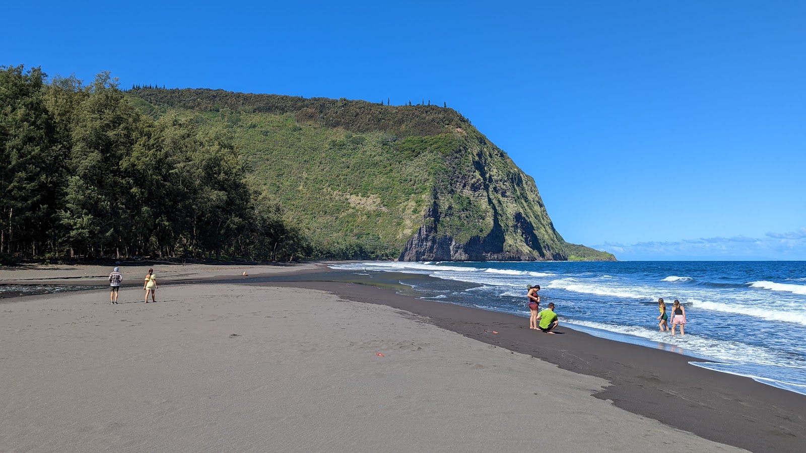 Foto van Waipi'o Black Sand Beach met bruin zand oppervlakte