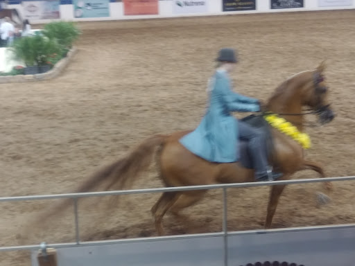 Event Venue «WestWorld of Scottsdale», reviews and photos, 16601 N Pima Rd, Scottsdale, AZ 85260, USA