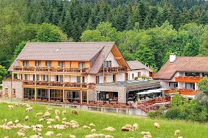 HOTEL GRÜNER WALD image