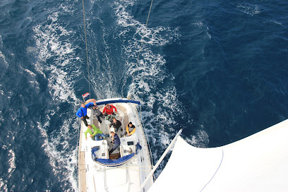 Ocean Sailing SE (oceansailing.meder.hu)