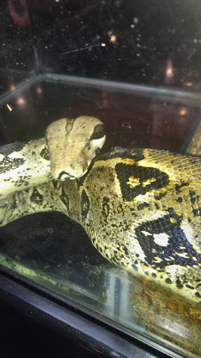 Harley-Davidson Dealer «Buddy Stubbs Anthem Harley-Davidson», reviews and photos, 41715 N 41st Dr, Anthem, AZ 85086, USA