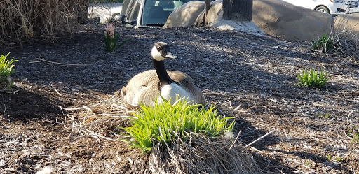 Amusement Center «Greatimes Family Fun Park», reviews and photos, 5341 Elmwood Ave, Indianapolis, IN 46203, USA