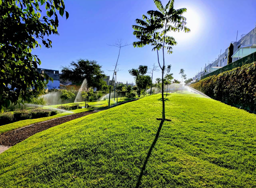 Caro Landscape Expertos en Jardineria y Riego