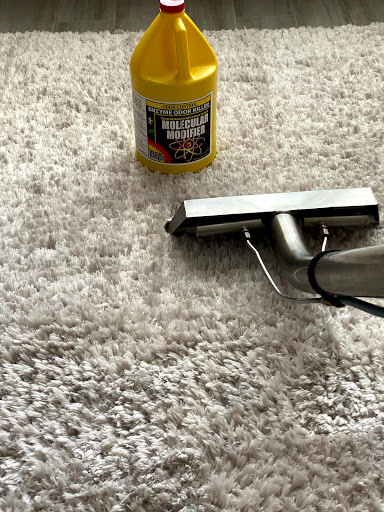 EASY CLEAN CARPET CARE image