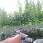 Photo n°2 de l'avis de Michaela.h fait le 30/04/2019 à 11:15 sur le  Restaurant im Mühlenhaus à Schöneiche