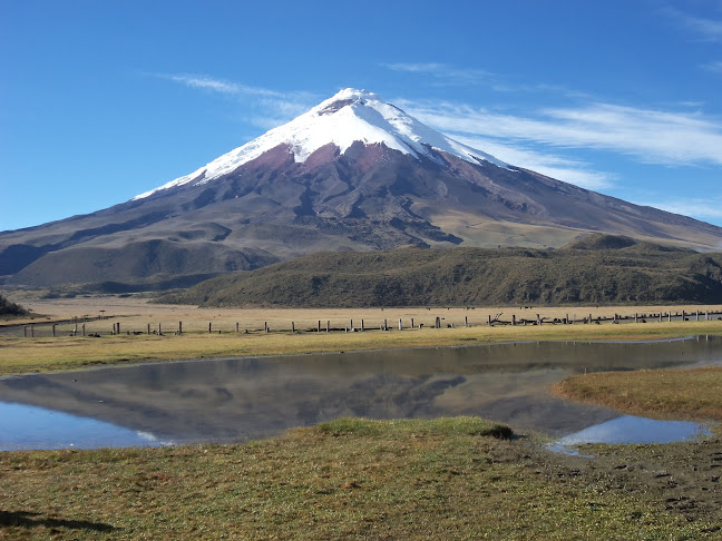 Opiniones de Epr Travel Ecuador y Galapagos Tour Operator en Quito - Agencia de viajes