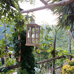 Photo n°2 de l'avis de chicca.e fait le 11/08/2022 à 21:46 sur le  Home Restaurant Mangiâ all’Antiga à Bargone