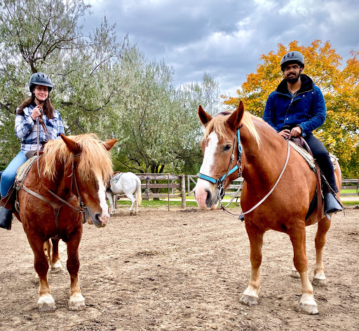Places to ride a horse in Toronto