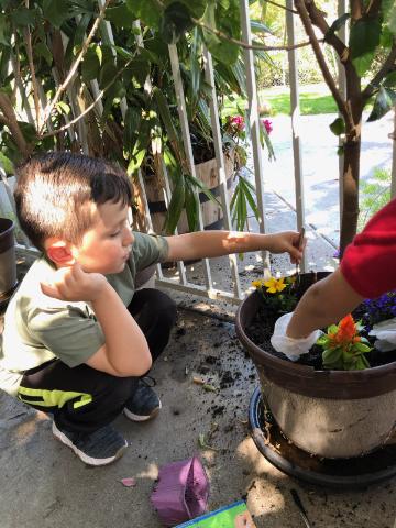 Day Care Center «Penny & Peggy Nairn 24 Hour Childcare, Inc», reviews and photos, 9213 N Columbus Ave, North Hills, CA 91343, USA