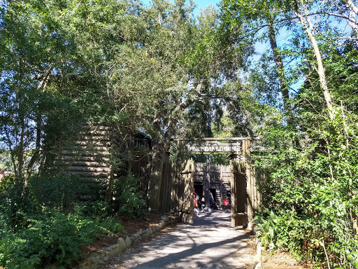 Tourist Attraction «Stanleyville Theater», reviews and photos, 10165 N Malcolm McKinley Dr, Tampa, FL 33612, USA