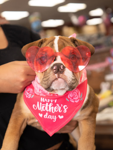 Pet Store «Petland of Plantation», reviews and photos, 801 S University Dr, Plantation, FL 33324, USA