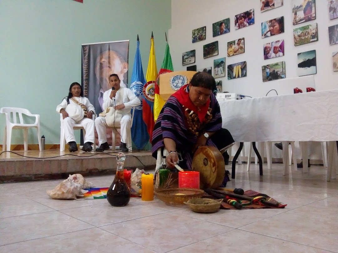 Organización Nacional Indígena de Colombia - ONIC
