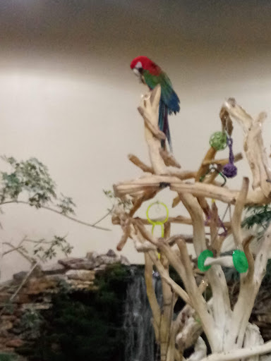 Pet Store «Pet Paradise Grooming», reviews and photos, 1115 Pueblo Blvd Way, Pueblo, CO 81005, USA