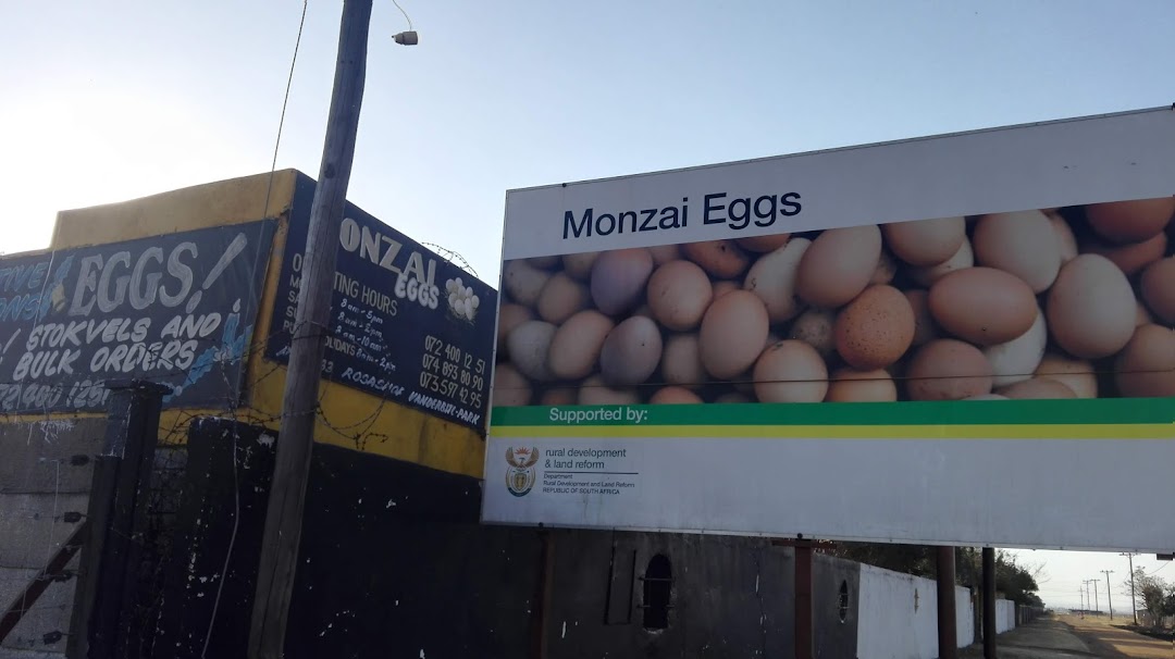 Monzai Eggs in the city Vanderbijlpark