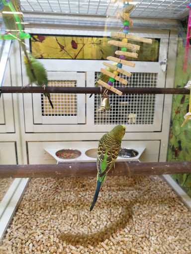 Pet Supply Store «PetSmart», reviews and photos, 1520 Pleasant Valley Rd, Manchester, CT 06042, USA