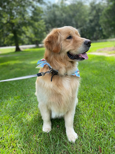 Pet Works Dog Grooming