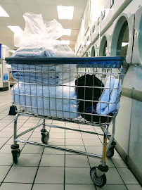 Carolina Curbside Laundry - Photo 5 - Car repair in Carrboro, NC, Durham