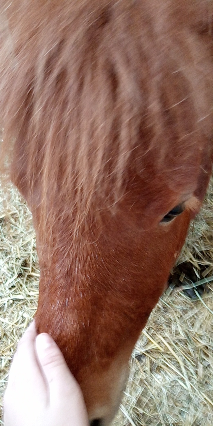 Photo n° 17 de l'avis de Cavalière.' fait le 30/06/2019 à 18:26