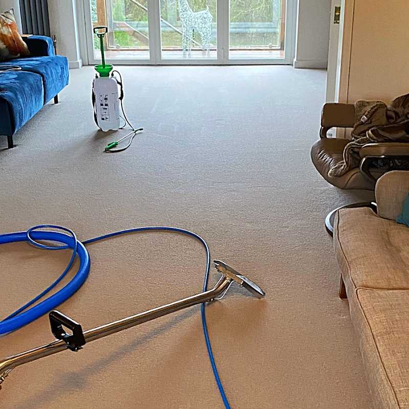 The City Cleaners | Professional Carpet Cleaning in Leeds | Upholstery Cleaners Leeds