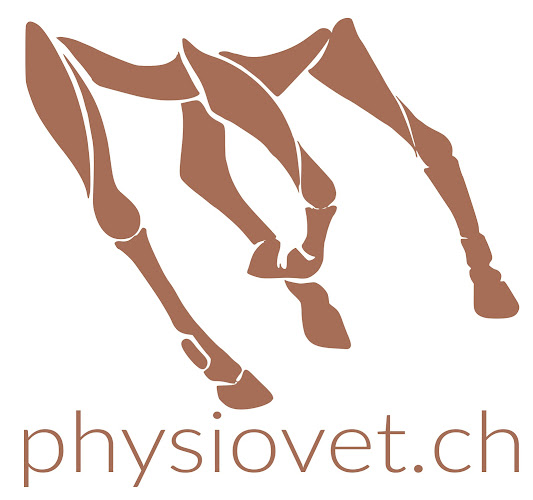 physiovet.ch, Physiotherapie, Manuelle Lymphdrainage, Lasertherapie Pferd und Hund - Wettingen
