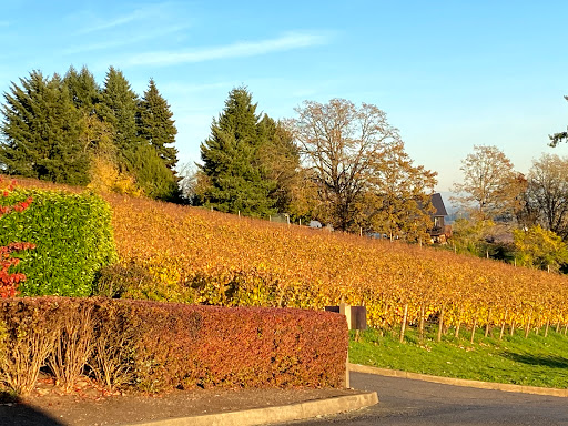 Winery «Archery Summit Winery», reviews and photos, 18599 NE Archery Summit Rd, Dayton, OR 97114, USA