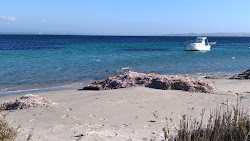 Tacca Rossa Beach'in fotoğrafı geniş bir kıyı şeridi ile birlikte