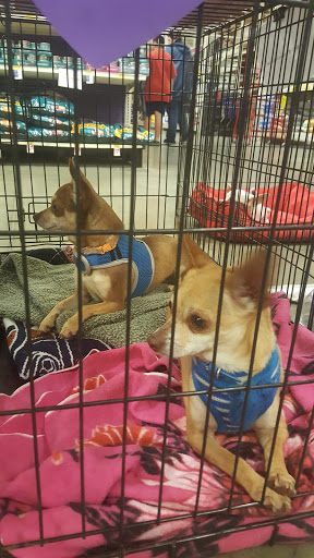 Pet Supply Store «PetSmart», reviews and photos, 24965 Pico Canyon Rd, Stevenson Ranch, CA 91381, USA
