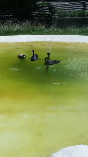 Zoo «Potawatomi Zoo», reviews and photos, 500 S Greenlawn Ave, South Bend, IN 46615, USA