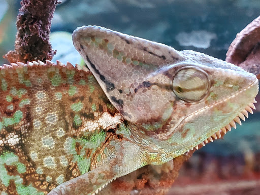 Pet Supply Store «Petco Animal Supplies», reviews and photos, 200 Center Blvd S, Christiana, DE 19702, USA