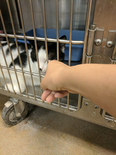 Pet Supply Store «PetSmart», reviews and photos, 2020 SW Westport Dr, Topeka, KS 66604, USA