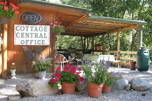 Cottage Central Cabins image