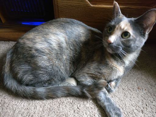 Pet Supply Store «Evolution Pet Food», reviews and photos, 1081 MN-36, Maplewood, MN 55109, USA