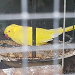 Photo n°5 de l'avis de Cathleen.e fait le 07/09/2020 à 18:39 sur le  Landhotel „Zur Kutsche“ à Oberschöna