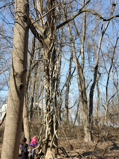 History Museum «Benjamin Banneker Historical», reviews and photos, 300 Oella Ave, Catonsville, MD 21228, USA