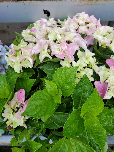 Home Improvement Store «The Home Depot», reviews and photos, 1300-1320 Corporate Dr, Westbury, NY 11590, USA