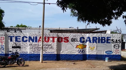 TECNIAUTOS DEL CARIBE S.A.S