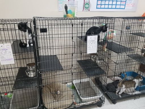 Pet Supply Store «Pet Supplies Plus», reviews and photos, 6159 Kalamazoo Ave SE, Grand Rapids, MI 49508, USA