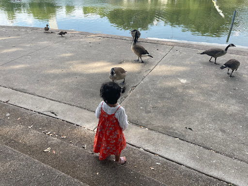 Tourist Attraction «Leonhardt Lagoon Nature Walk», reviews and photos, 1121 1st Ave, Dallas, TX 75210, USA