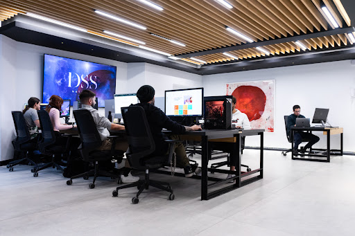 DSS Network | Diseño, Marketing y Desarrollo