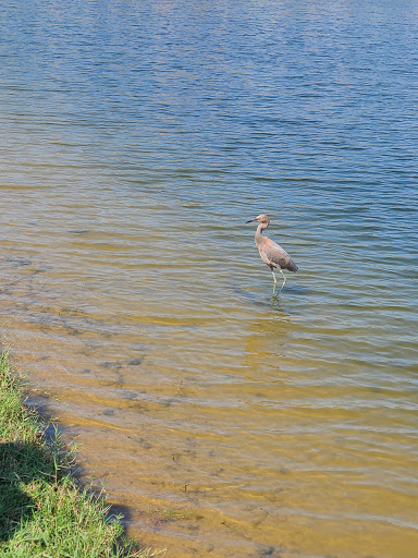 Park «Harris County Deputy Darren Goforth Park on Horsepen Creek», reviews and photos, 9118 Wheat Cross Dr, Houston, TX 77095, USA