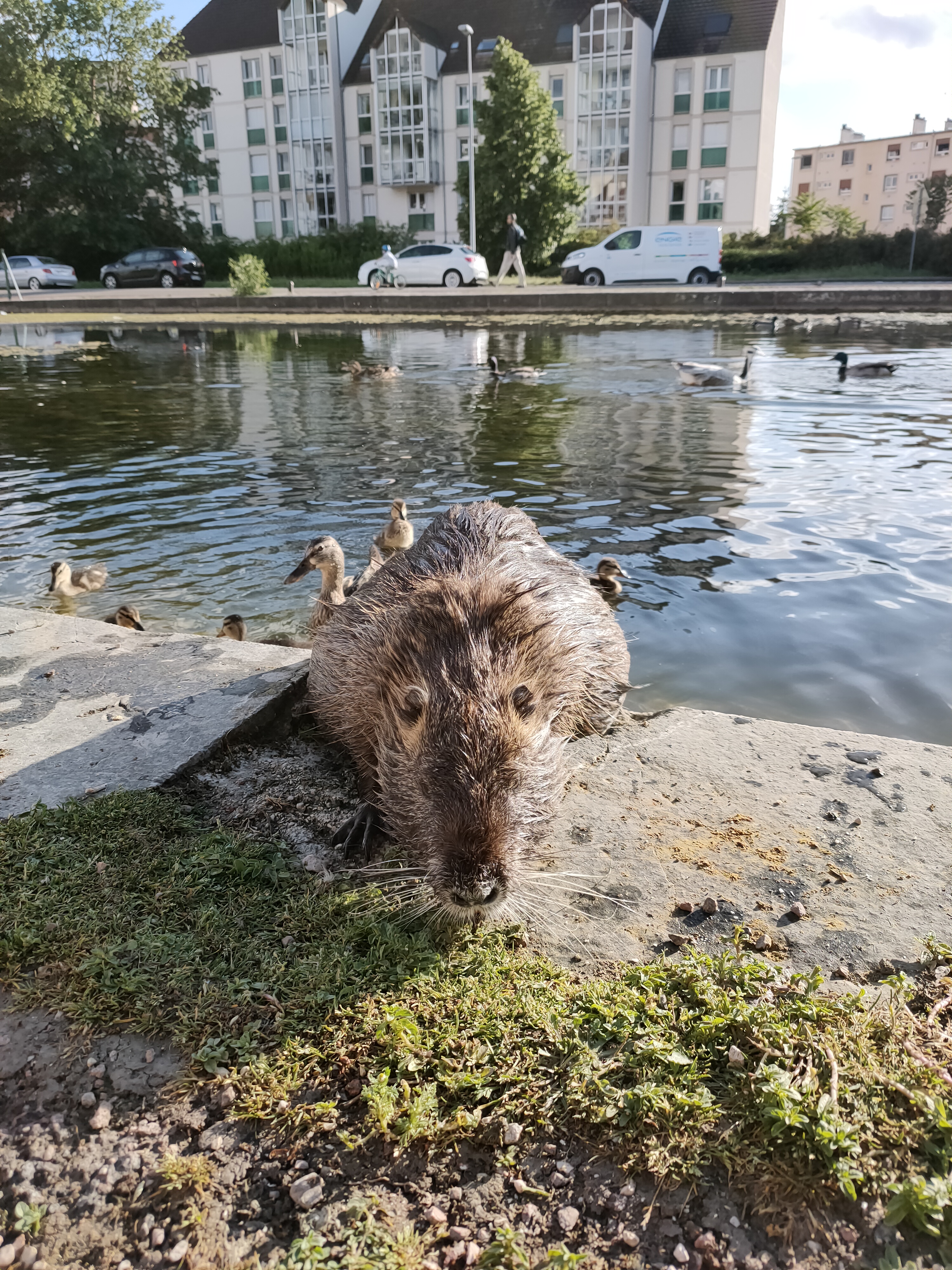 Photo n° 2 de l'avis de Justine. fait le 15/05/2021 à 20:07