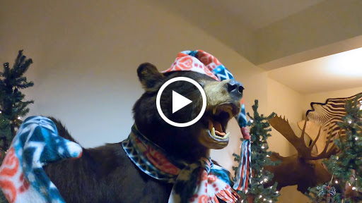 Restaurant «Hidden Valley Animal Adventure», reviews and photos, 2887 Royce Rd, Varysburg, NY 14167, USA