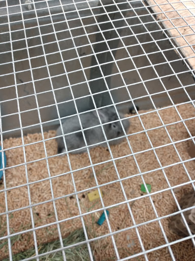 Home Improvement Store «Wilco Farm Store», reviews and photos, 1901A NE 162nd Ave, Vancouver, WA 98684, USA