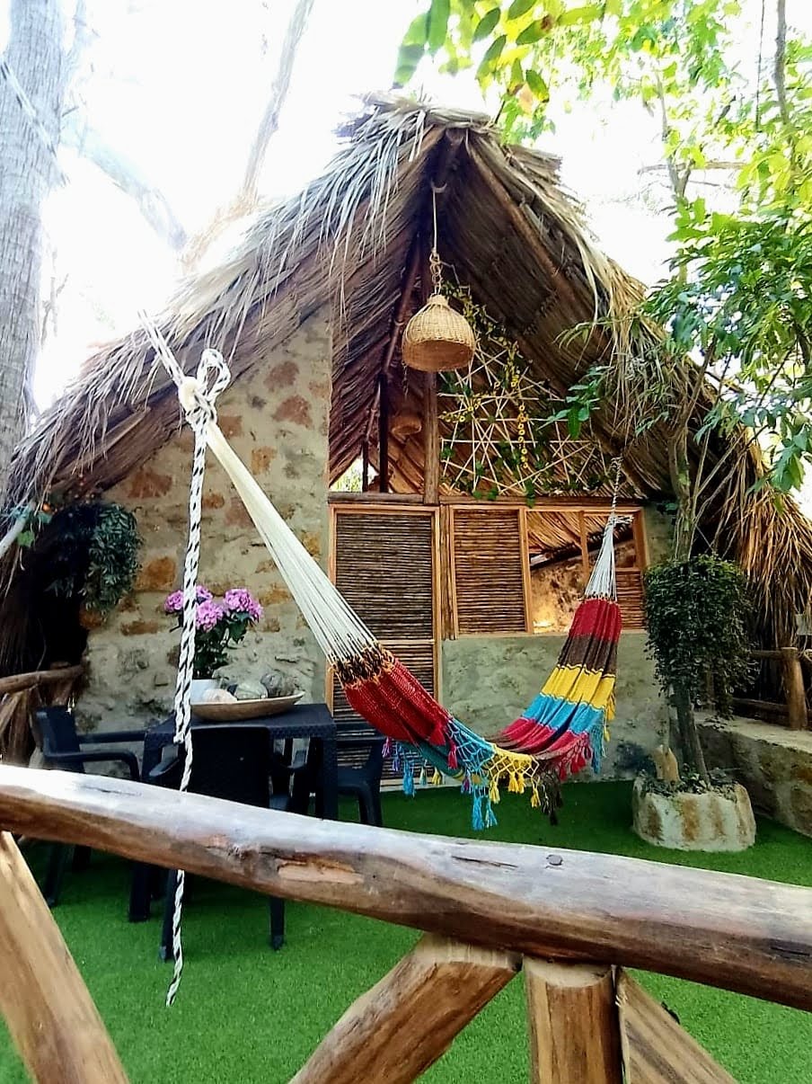 Terra Verde Experience