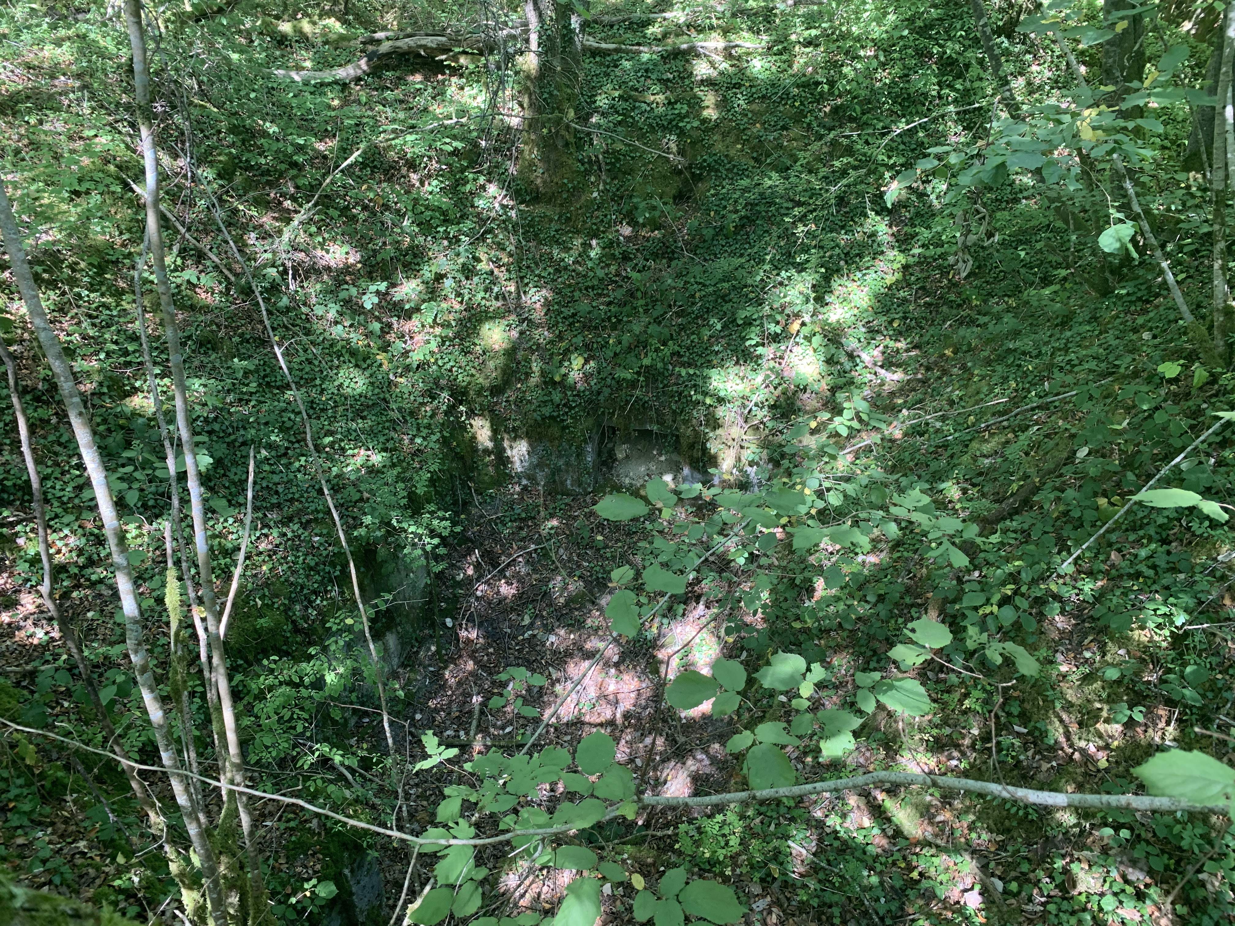 Photo n° 4 de l'avis de Ivo. fait le 18/08/2020 à 21:12