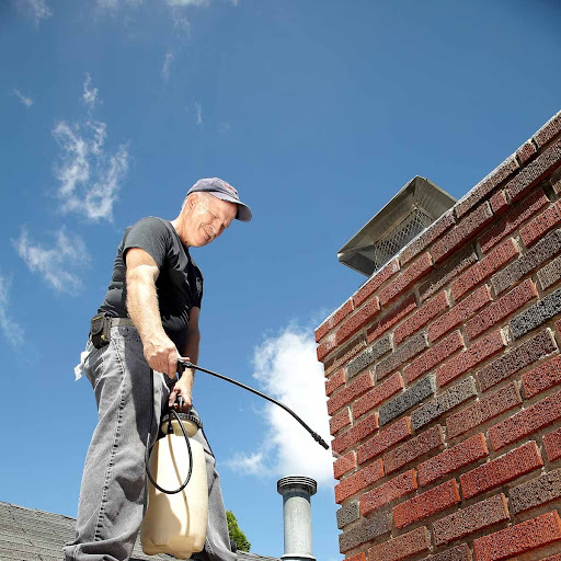 Eco Grizzly Chimney Sweep, Inspection and Repair image